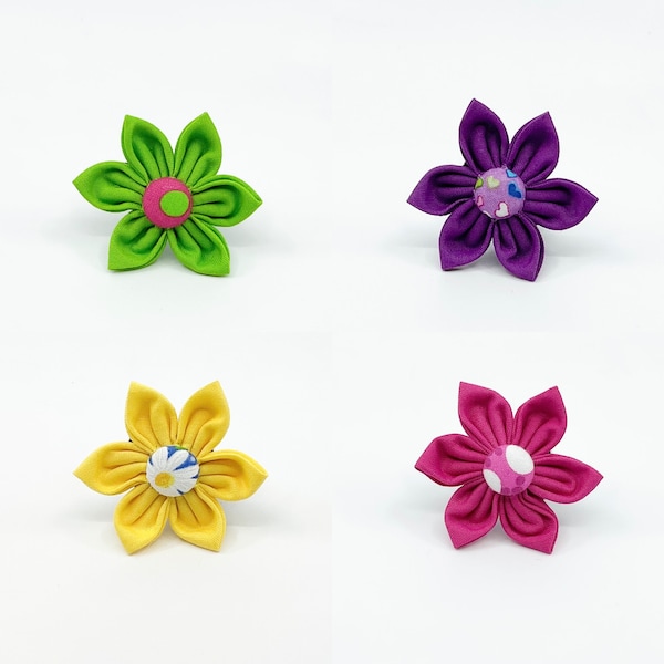 Ajoutez une fleur au harnais ou au collier de votre chien en vert, rose, violet et jaune