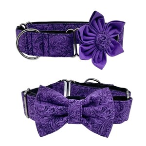 Purple Paisley Martingale Dog Collar With Optional Flower Or Bow Tie, Slip On Collar, Sizes Small, Medium, Large,  XLarge