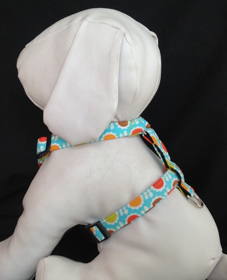 Dog Harness With Flower Retro Daisy Aqua Pattern Pet Etsy