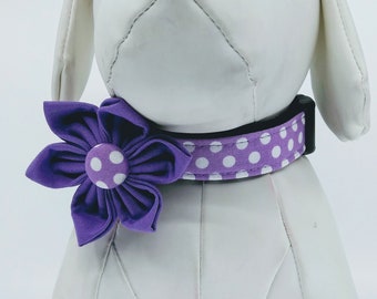 Dog Collar With Flower  - Purple / Lavender Polka Dot  Adjustable Pet Collar  Sizes XS, S, M, L, XL