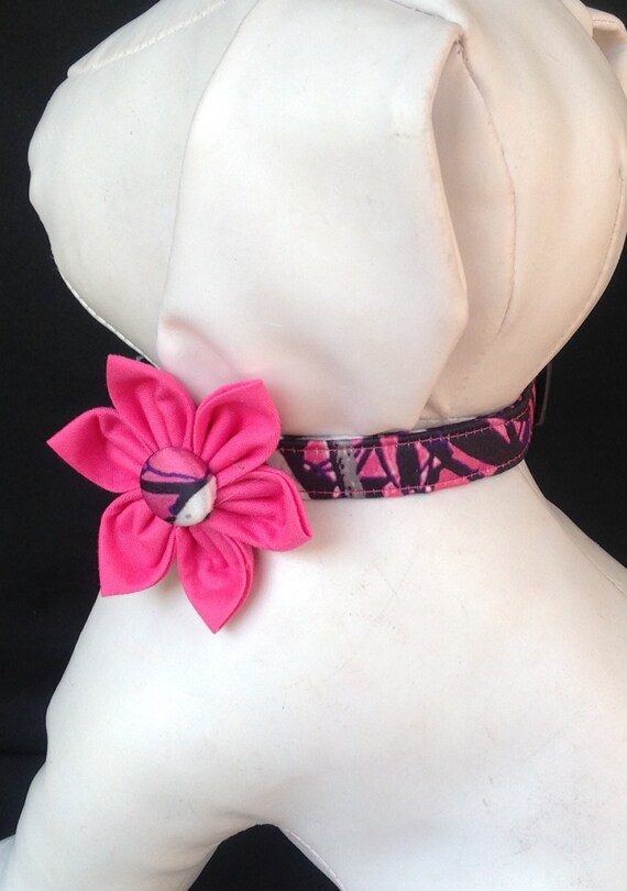 muddy girl dog collar