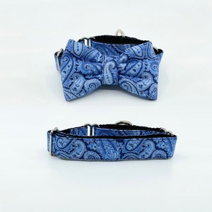 Blue Metallic Paisley Martingale Dog Collar With Optional Bow Tie  Adjustable Slip On Collar Sizes  Small, Medium, Large, XLarge