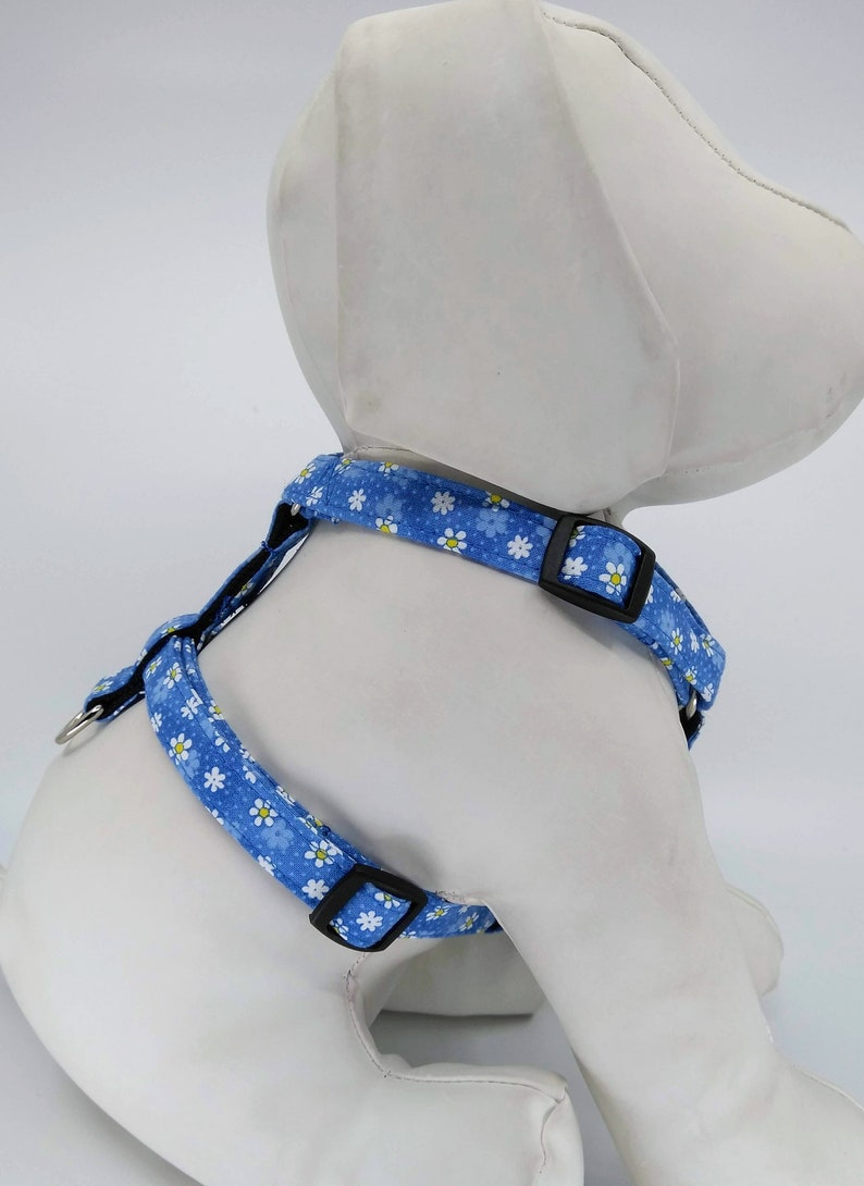 Dog Harness With Flower Small Daisy on Blue Adjustable Pet Etsy
