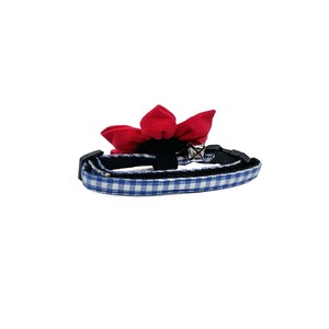 May include: A blue and white checkered cat collar with a red fabric flower and a silver bell.