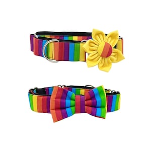 Martingale Dog Collar with Optional Flower or Bow Tie Striped Rainbow Colors: Slip on Sizes XS-XL