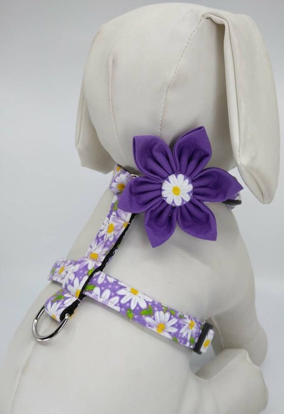 Purple Daisy Dog Harness With Optional Flower Adjustable Pet Etsy
