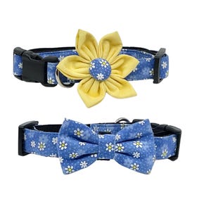 Small Daisy on Blue Dog Collar with Optional Flower or Bow Tie Adjustable Pet Collar Sizes XXS, XS, S, M, L, XL