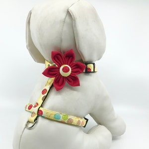 Dog Harness With Optional Red Flower, Yellow Silly Circles Adjustable Sizes XS, S, M