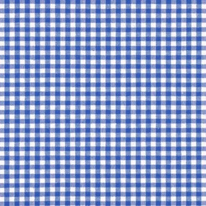 May include: A blue and white gingham pattern. The pattern is made up of small squares, with blue squares alternating with white squares.