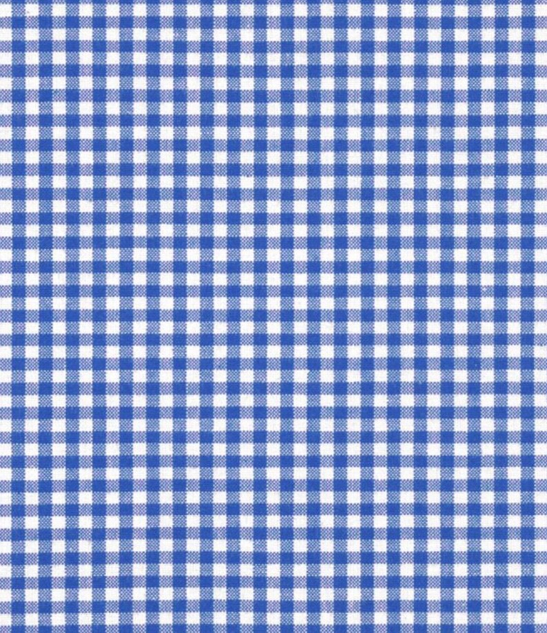 May include: A blue and white gingham pattern. The pattern is made up of small squares, with blue squares alternating with white squares.