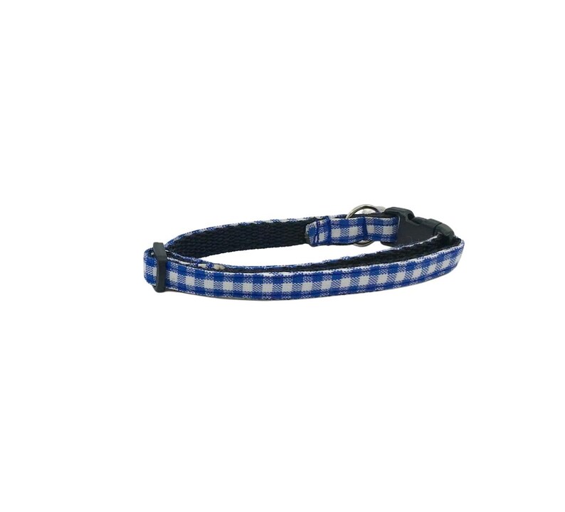May include: Blue and white checkered dog collar with a black buckle.