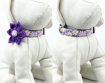 Purple Daisy Dog Collar With Optional Flower, Adjustable Pet Collar Sizes XSmall, Small, Medium, Large, XLarge