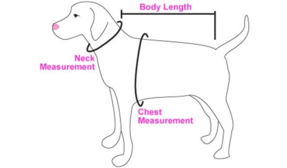 muddy girl dog collar