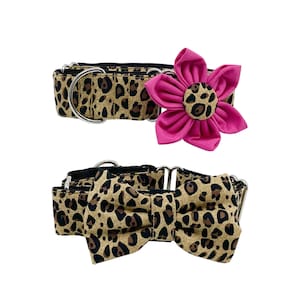 Cheetah Animal Print Martingale Dog Collar With Optional Flower Or Bow Tie, Adjustable Slip On Collar Sizes XS, S, M, L, XL