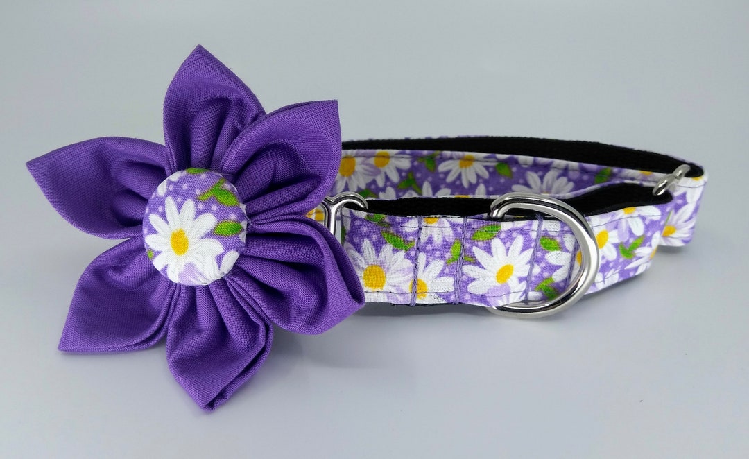 Purple Daisy Martingale Dog Collar With Flower Adjustable Etsy