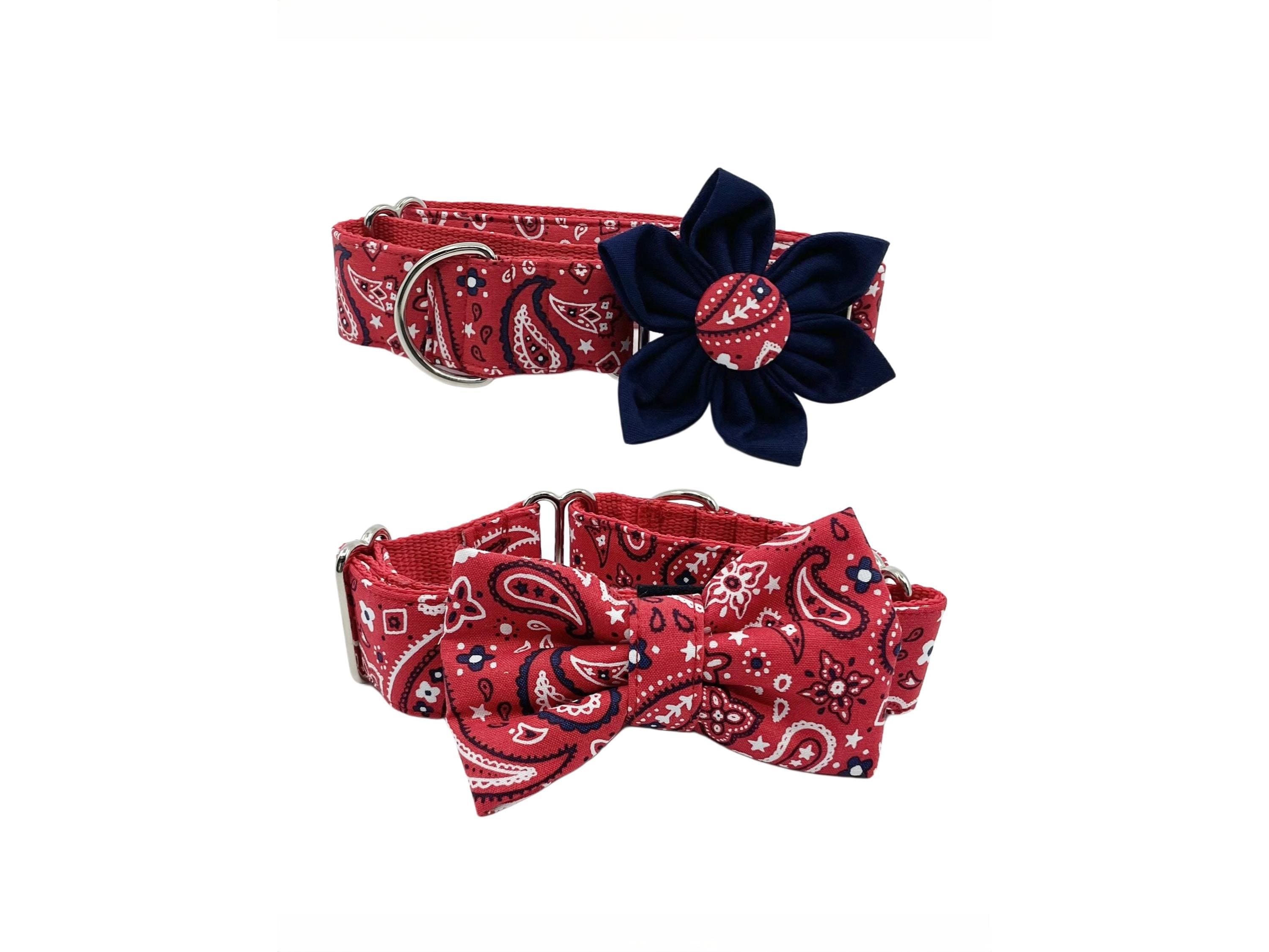 Martingale Dog Collar With Optional Flower Or Bow Tie Red & Blue Paisley Xs-Xl