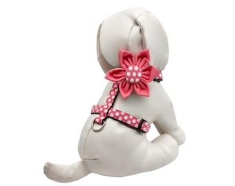 Coral Polka Dot Dog Harness With Optional Flower: Adjustable Sizes XS-M
