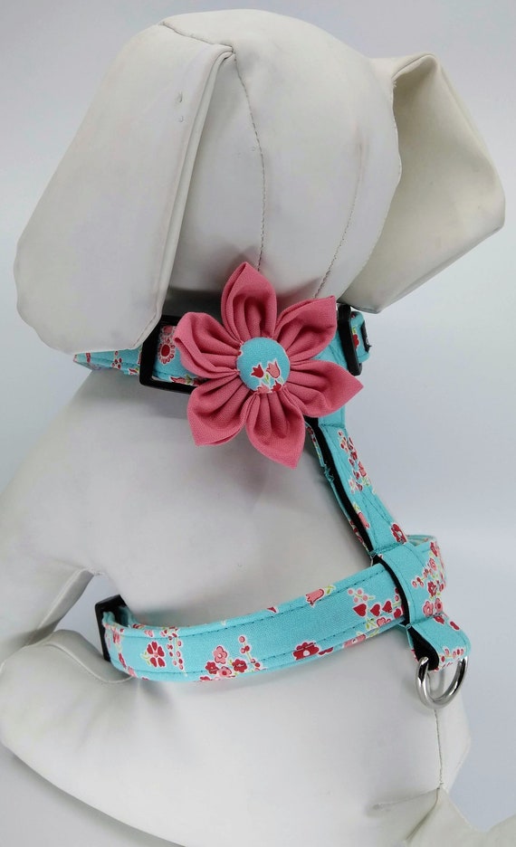 flower dog harness