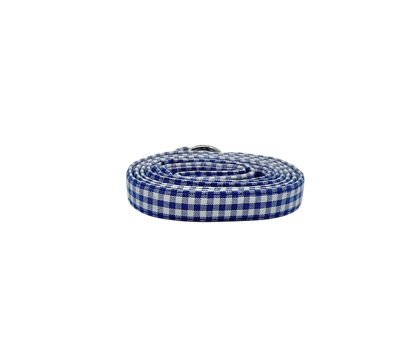 K&ouml;nnte beinhalten: Eine blaue und wei&szlig;e Gingham-Hundeleine, die mit einem silbernen Metallverschluss aufgerollt ist.
