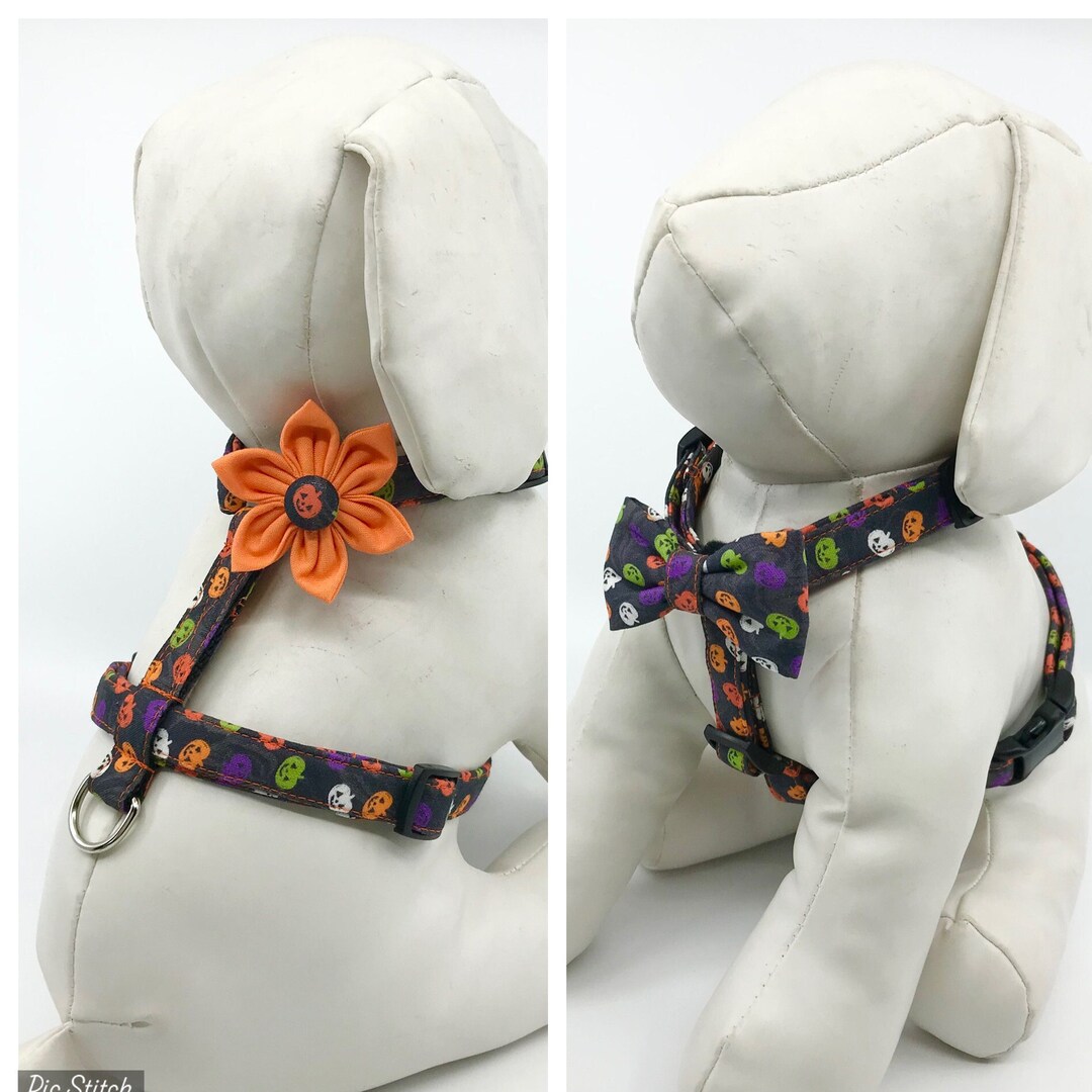 Halloween Dog Harness With Optional Flower, Colorful Mini Pumpkins