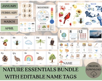 Nature Classroom Decor Bundle | Alphabet, Numbers, Calendar, Weather (Digital Download)