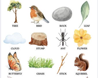 SUMMER Nature Scavenger Hunt Printable