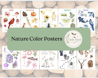 Nature Color Posters | Montessori Preschool Homeschool Wall Art (Digital Download)