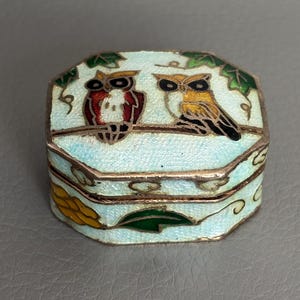 Può includere: Un portagioie ottagonale in metallo con lavorazione a smalto cloisonné. Il coperchio raffigura due gufi appollaiati su un ramo su uno sfondo azzurro con foglie verdi. I lati della scatola sono decorati con motivi floreali gialli e verdi.