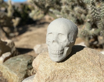 Gunnthor the skullpture. Concrete skull.