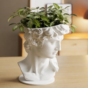 Jarrón con estatua de David de Miguel Ángel / Maceta con busto clásico / Decoración estilo Dark Academia griega y romana / Regalo para amantes del arte