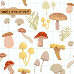 以下が含まれることがあります： 白のグリッド背景に、赤、黄、茶、ベージュの色合いで手描きされた様々なキノコが描かれたデジタルパターン。左上の茶色の長方形のボックスには「hand drawn artwork」というテキストが表示されています。