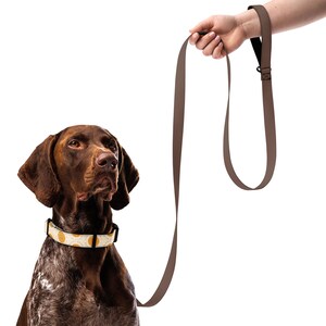 May include: A brown dog lead attached to a cream-coloured collar with a yellow sun pattern worn by a brown and white spotted dog. The lead features a simple loop handle and a smooth, solid brown finish, providing a clear view of the collar design.