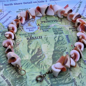 May include: A circular bracelet composed of numerous small, spiraled seashells in shades of cream, pink, and dark brown. The shells are strung together in a continuous loop, finished with a small, circular metal clasp at the bottom.