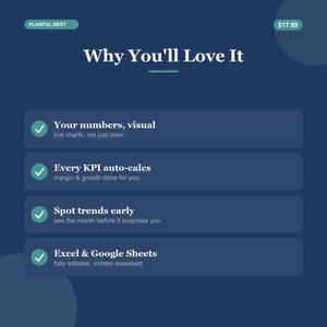 Small Business KPI Dashboard - Revenue, Profit, Margin, Cash Flow & Top Products Tracker with Charts | Excel and Google Sheets (2026) image 4