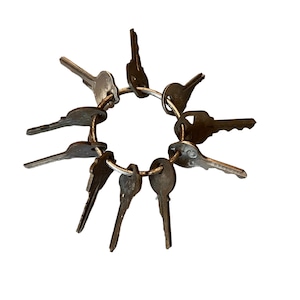 May include: A metal keyring with a circle of keys attached. The keys are all silver and have different shapes and sizes.