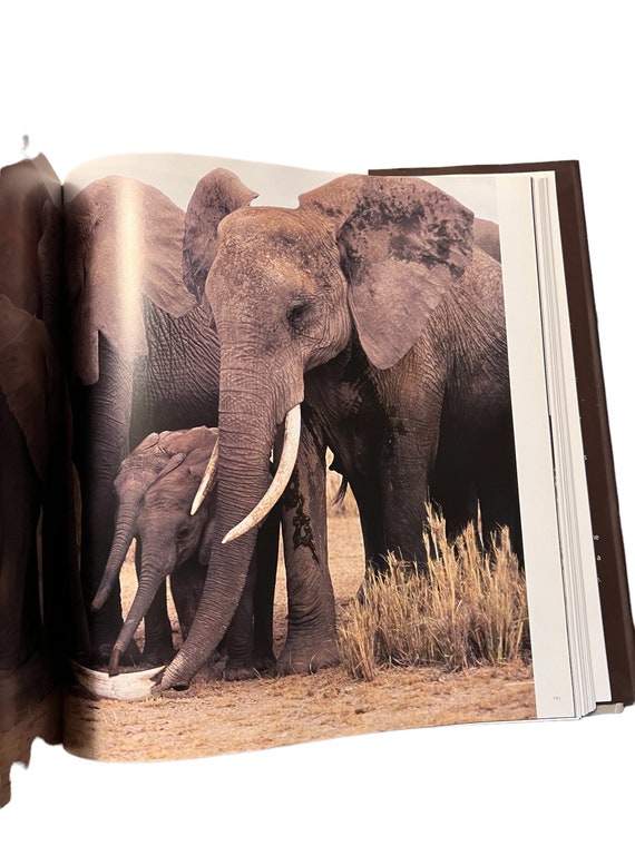 Elephant Reflections Coffee Table Book Elephant Decor Set Wildlife