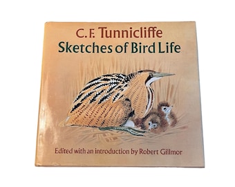 Sketches of Bird Life C.F. Tunnicliffe copyright 1981, Sketching Birds, Watercolor birds