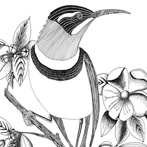 Digital Print of My Original Black Ink Pen Drawing. 12&quot; x 18&quot; on 100lb Cardstock.