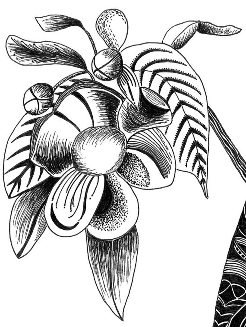 Digital Print of Original Black Ink Drawing. 12 X Etsy