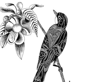 Digital Print of Original Black Ink Drawing.  12" x 18" on 100lb. Cardstock. Titled "The Long-tailed Bird"
