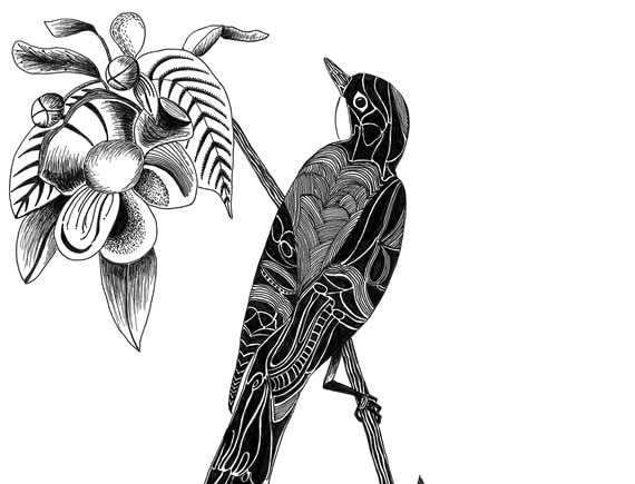 Digital Print of Original Black Ink Drawing.  12" x 18" on 100lb. Cardstock. Titled "The Long-tailed Bird"