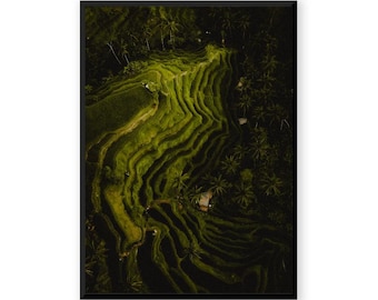 Rice Fields II - Tegalalang Bali Indonesia - Fine Art Aerial Photography Print