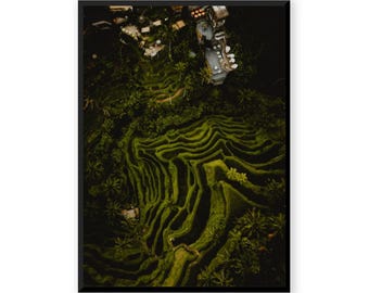 Rice Fields III - Tegalalang Bali Indonesia - Fine Art Aerial Photography Print