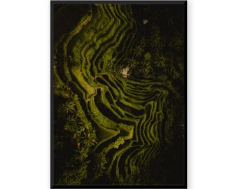 Rice Fields I - Tegalalang Bali Indonesia - Fine Art Aerial Photography Print