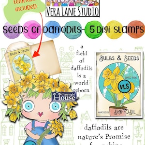 Semi di narcisi - Pacchetto di 5 francobolli digitali in file jpg e png