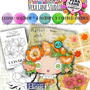 Puede incluir: Un kit de tarjetas de arte digital de Vera Lane Studio con una niña caprichosa con cabello de flores naranjas, paquetes de semillas de flores de cosmos y sellos. Incluye sellos, imágenes en color y papeles de fondo.