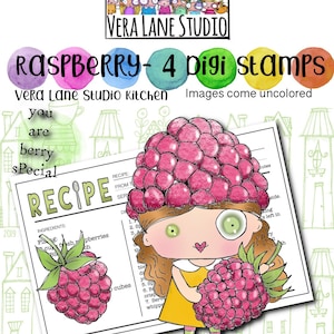 Framboise ; Cuisine Vera Lane Studio - Lot de 4 tampons numériques au format jpg et png