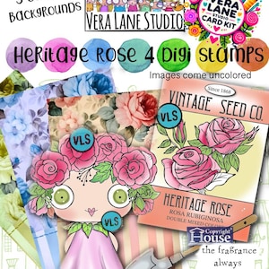 Heritage Rose - Lot de 4 tampons numériques au format jpg et png Kit de 3 cartes d'arrière-plans colorés