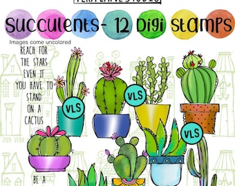 Succulents -- 12 digi stamp bundle