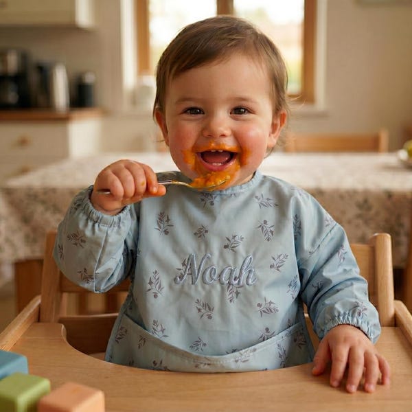 Personalized Baby Bib Smock With Sleeves Feeding Cover For Toddlers Name Embroidery